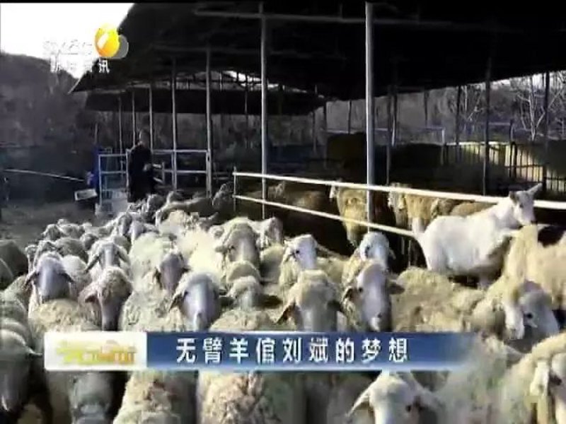 多克赛尔:引领环保创新潮流