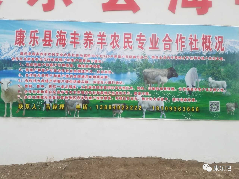 永济养羊合作社